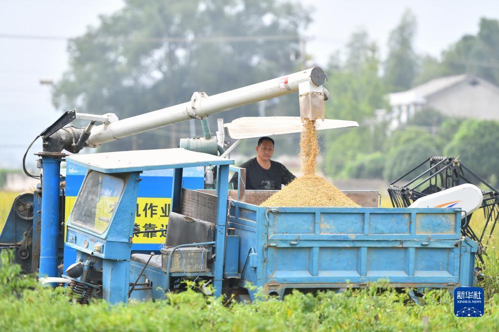 捕鱼大玩咖豪礼卷